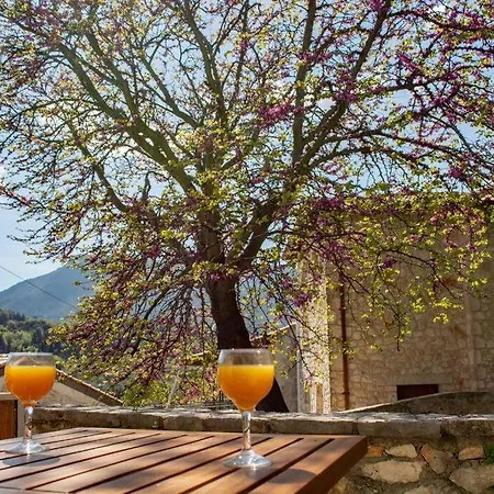 Pano Rouga - Theo אלכסנדרוס